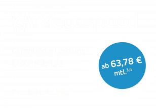 Megaspeed